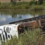 elienai-1774268722274