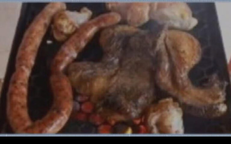 elienai-1774269091801