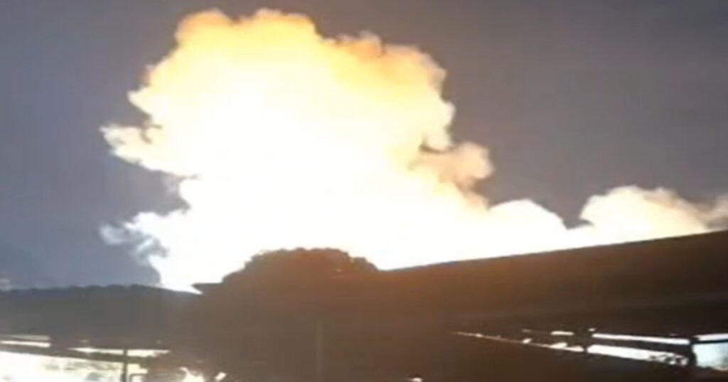 elienai-1774269305975