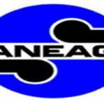 elienai-1774279735626