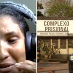 elienai-1774281401211