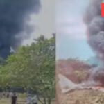 elienai-1774284323096