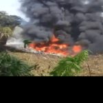 elienai-1774301385384