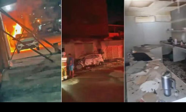 elienai-1774301547903