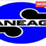 elienai-1774303414607