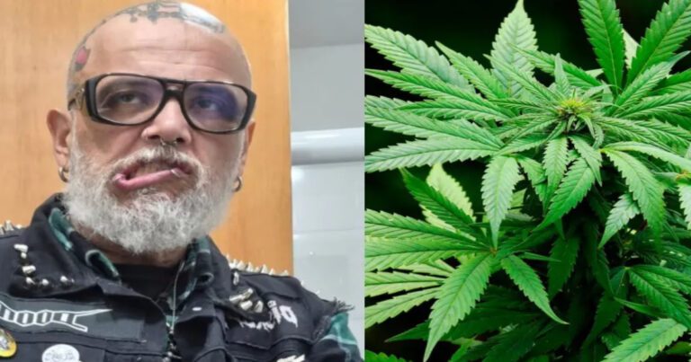 elienai-1774354733415