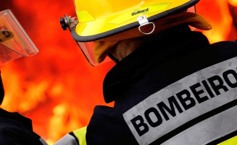 elienai-1774356002691