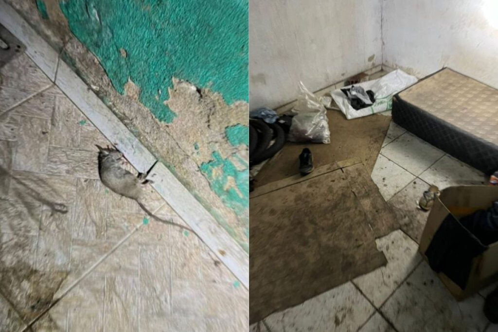 elienai-1774364691347