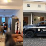 elienai-1774364713841