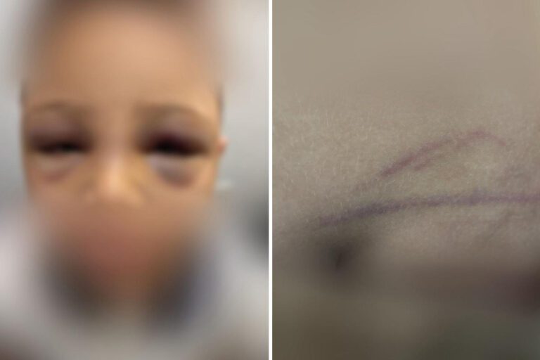 elienai-1774364877333