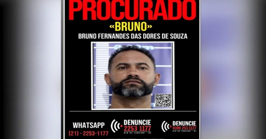 elienai-1774388225201