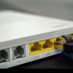 elienai-1774388885016