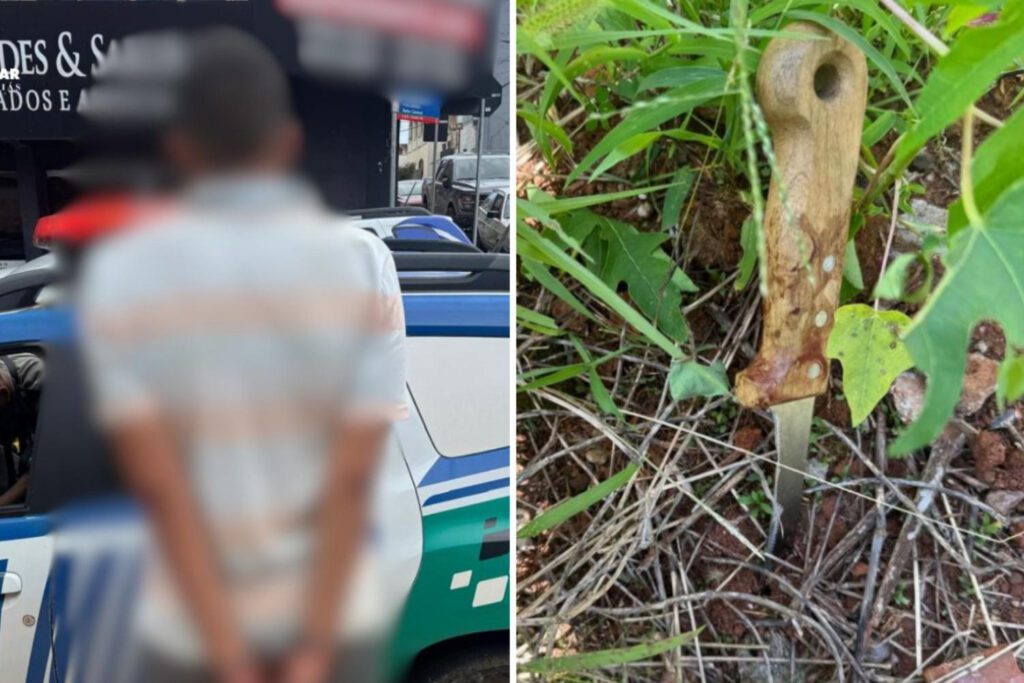 elienai-1774436508085