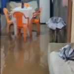 elienai-1774439119641