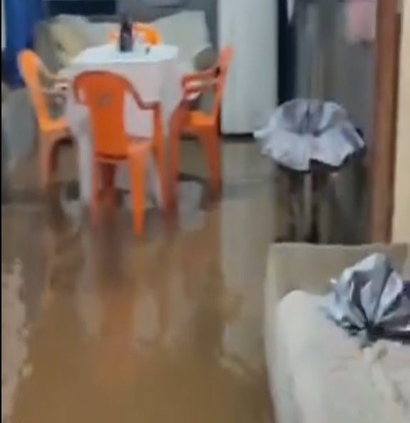 elienai-1774439119641