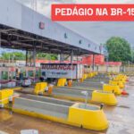 elienai-1774453040288