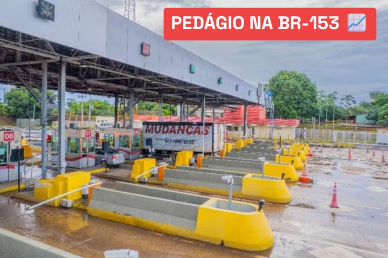 elienai-1774453040288