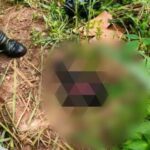 f6424013-6432-476a-8506-293a3e1b878c-600x330