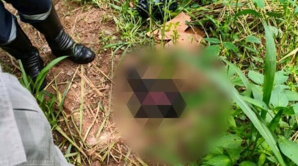 f6424013-6432-476a-8506-293a3e1b878c-600x330