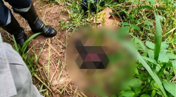 f6424013-6432-476a-8506-293a3e1b878c-600x330