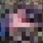 post-1783099487271