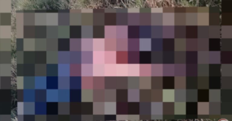 post-1783099487271